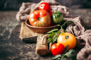 Fresh, ripe multi colored tomatoes on a dark background. Organic food.