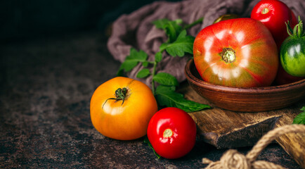 Fresh, ripe multi colored tomatoes on a dark background. Organic food.