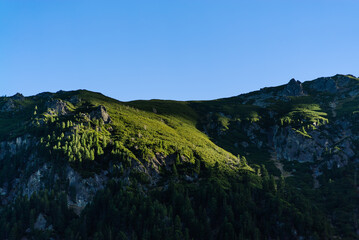 Fototapeta na wymiar Rays of the sun cast on uphill green vegetation. Trees on the rocky mountain during sunrise.