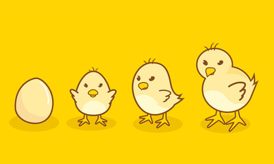 Vector illustration of the character of the chicks and their eggs. very cute chicken. the chicks are with the eggs. they are so cute with yellow and adorable shapes.brown and yellow, so cute and sweet