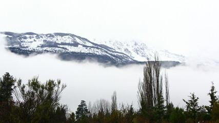 Fototapeta premium niebla