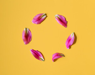 Round frame made out of pink petals on yellow background shot from above. Top view, flat lay, copy space. Love and wedding concept. Valentine’s Day, Mother’s Day.