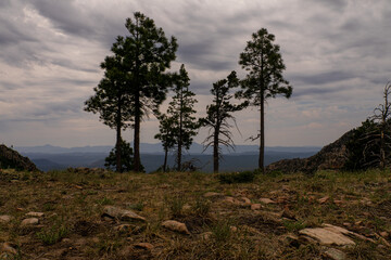 Fototapeta na wymiar This is a view of the valley below, from FR 300 in the Mogollon Rim, I am standing on the grassy edge of the Rim with trees close to the edge.