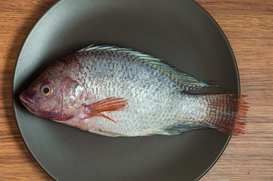 Fresh red Tilapia, known as Mojarra in Mexico