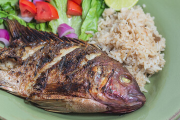 Fresh red Tilapia, known as Mojarra in Mexico