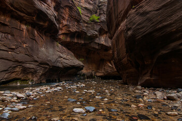 The Narrows | Zion National Park | Digital Image Print | Zion Canyon | Utah| Instant Download | Landscape Photography | Wall Art Picture