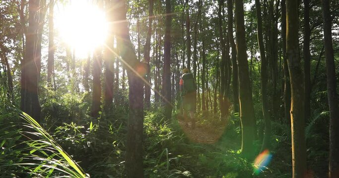 Woman backpacker hiking in summer sunrise forest mountain trail, using smartphone taking pictures of the beautiful scene, lens flare