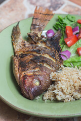 Fresh red Tilapia, known as Mojarra in Mexico