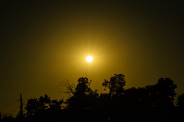 Obraz premium sol al amanecer en el horizonte y arboles