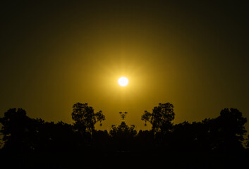 sol al amanecer en el horizonte y arboles