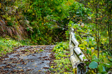 【ふるさとイメージ】只見線 会津川口駅付近の風景