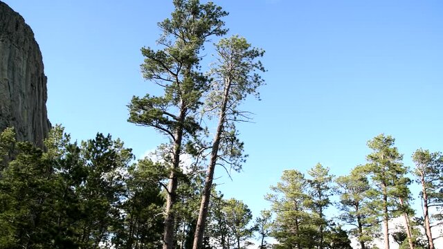 Beautiful panoramic view of Devil's Tower National Monument