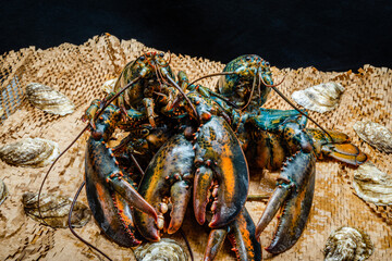 Lobster in the fishing net 