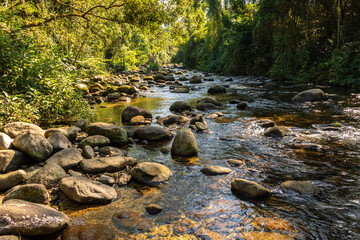 River on the jungle