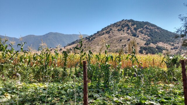 paisaje campo rural chile