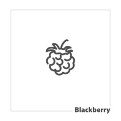 blackberry isolated line icon for web and mobile