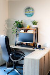 Work from home set up