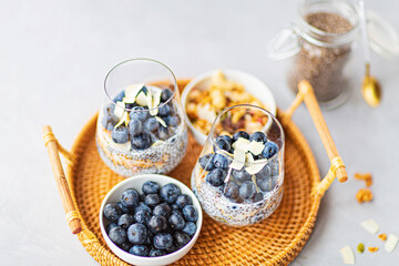 Chia pudding with granola and fresh blueberries in the glasses on a gray concrete background with copy space. Concept of healthy eating, healthy lifestyle, dieting, fitness menu. Selective focus