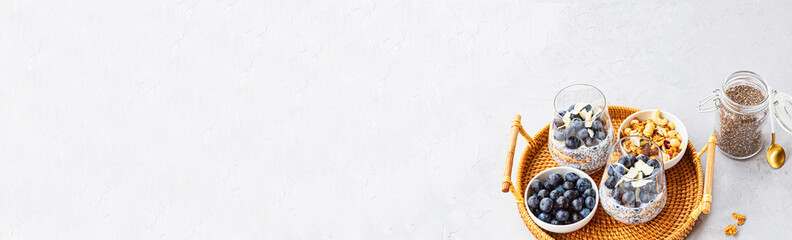 Chia pudding with granola and fresh blueberries in the glasses on a gray concrete background with copy space. Concept of healthy eating, healthy lifestyle, dieting, fitness menu. Selective focus