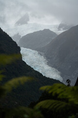 Franz Josef Glacier in the South Island of New Zealand as seen from the walking trail with palm...