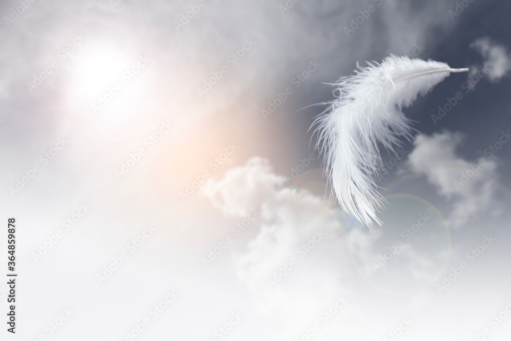 Wall mural light fluffy a white feather floating in the sky with cloudy.