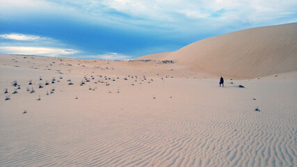 sand dunes in the desert