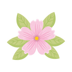pink flower with leaves design, natural floral nature plant ornament garden decoration and botany theme Vector illustration