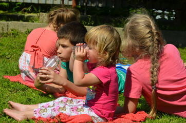 Fototapete bei efototapeten.de bestellen   