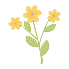 yellow flowers with leaves design, natural floral nature plant ornament garden decoration and botany theme Vector illustration