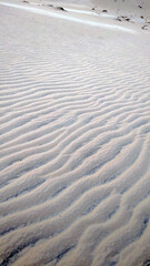 sand dunes on the beach