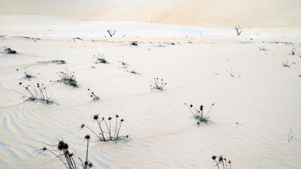 sand on the beach