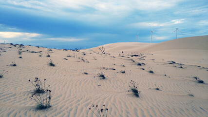 sand dunes in the desert