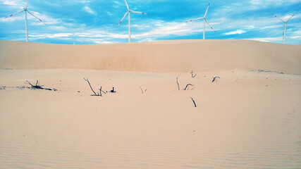 sand dunes on the beach