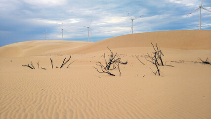 sand dunes in the desert