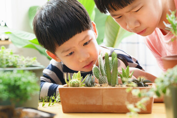Two young Asian kids hold magnifying glass and look at new stem of various species of small cactus they grow and take care at home. Montessori, Homeschool learning, Curiosity and Observation concept