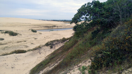 path in the dunes