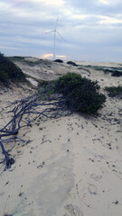 beach in the morning