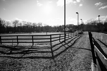 Black and white farm fence with shadows