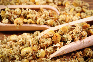 Dried chamomile with wooden scoop on board. Alternative medicine and herbalism