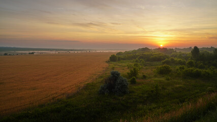Colorful sunset over wheat field.