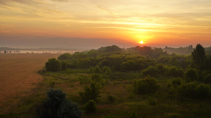 Colorful sunset over wheat field.