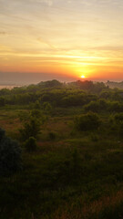Colorful sunset over wheat field.
