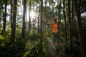 Fototapeta premium Woman hiker hiking in summer sunrise forest mountain