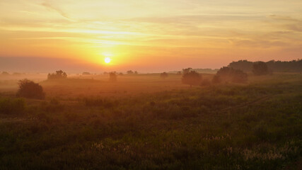 Fototapeta na wymiar Colorful sunset over wheat field.