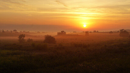 Colorful sunset over wheat field.