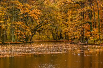 Park photographed in Cologne, Germany. Picture made in 2009.