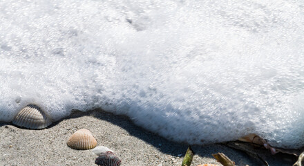 Various Sea Shells and Surf Scattered on Bowdens Beach, Sanibel Island,Florida,USA