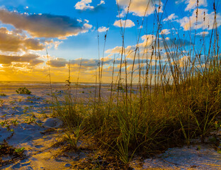 Sea Oats (Uniola paniculata) and Sunset on Bowdens Beach, Sanibel Island,Florida,USA
