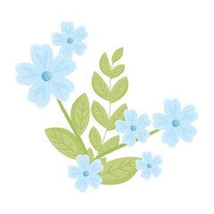 blue flowers with leaves design, natural floral nature plant ornament garden decoration and botany theme Vector illustration