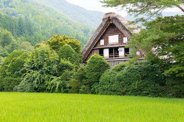 Gassho-zukuri houses at Ogimachi Village in Shirakawago, Gifu, Japan. It is part of UNESCO World Heritage Site - Historic Villages of Shirakawa-go and Gokayama.